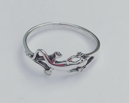 ring met salamander