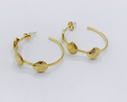 creolen met 3 schelpjes