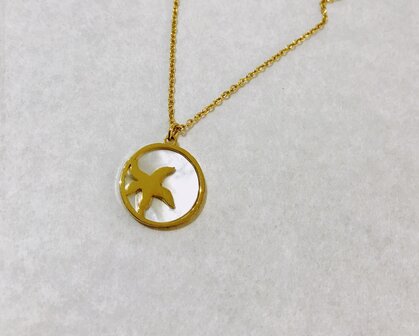 Ketting met zeester in parelmoeren zetting