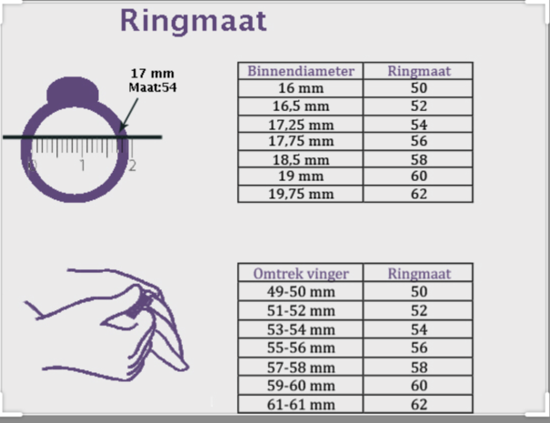 ring met 2 bandjes