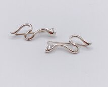 earclimber met een slang