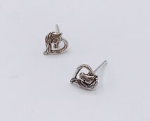 oorbellen paradekop in hartje