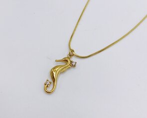 ketting met zeepaardje